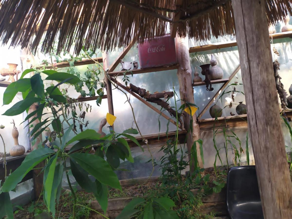 Casa Candombe Y Mar Barra de Valizas Luaran gambar